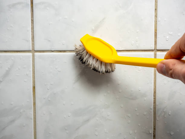Best Office Mold Removal Services  in Chula Vista, TX