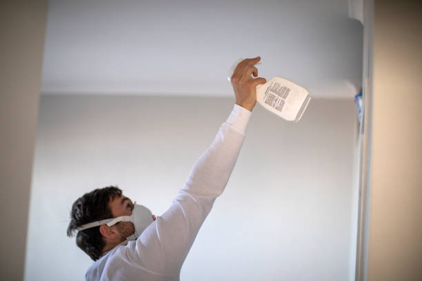 Best Mold Damage Repair  in Chula Vista, TX