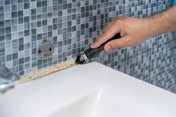 Best Mold Removal Company Near Me  in Chula Vista, TX