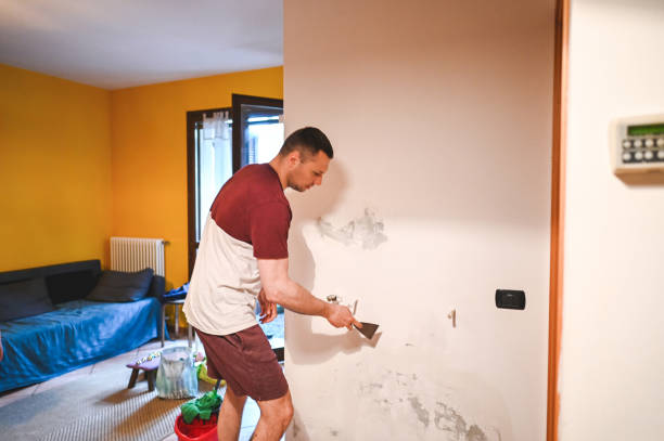 Best Emergency Mold Removal  in Chula Vista, TX